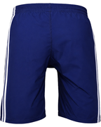 Back design Blue Brute Shorts By Brute Beach Wrestling