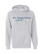 Sunny Weather Men's Beach Wrestling Hoodie Gray
