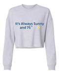 Sunny Weather Women's Beach Wrestling Crop Crew Gray
